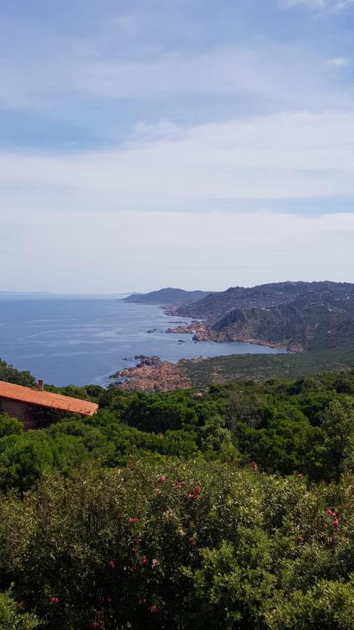 Villa Unica - Appartamenti Alba E Tramonto Isola Rossa Exterior foto