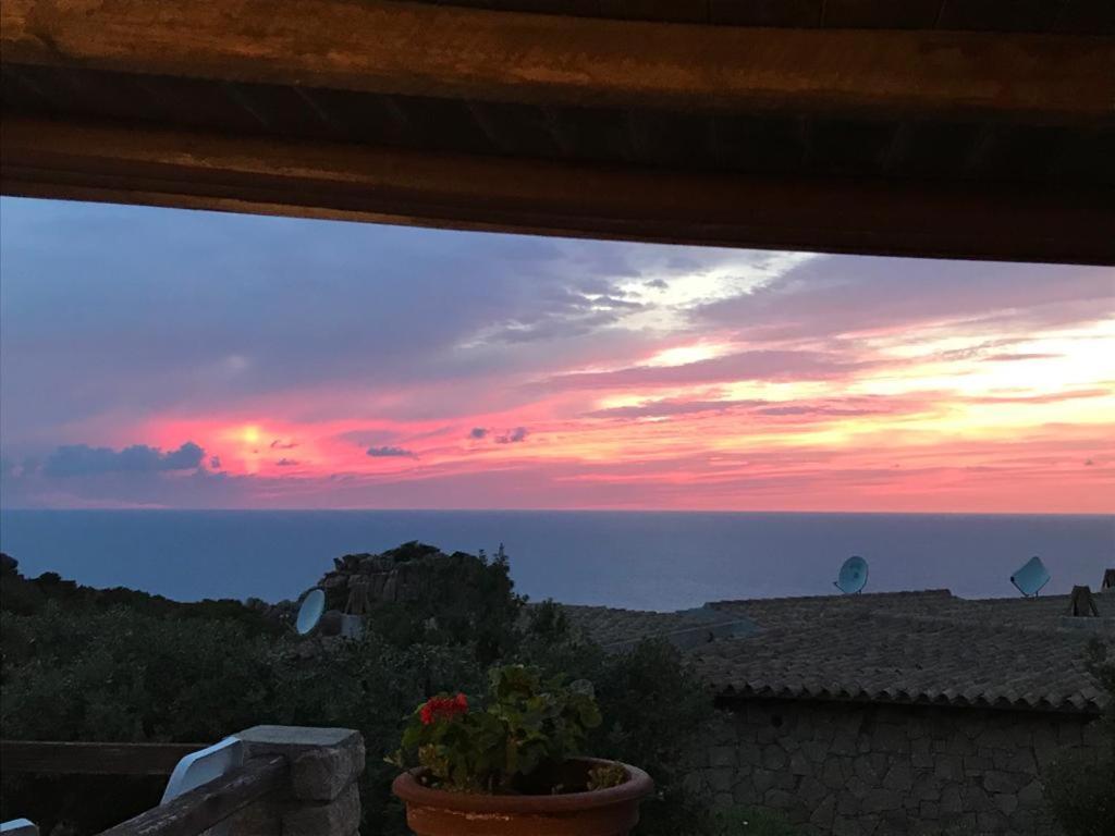 Villa Unica - Appartamenti Alba E Tramonto Isola Rossa Exterior foto